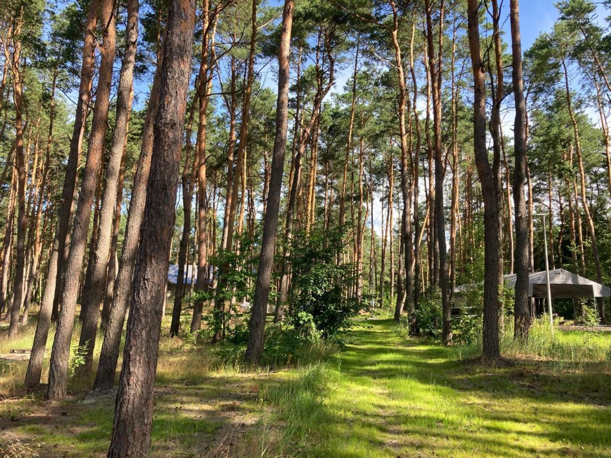 Gora Spokoju Osada Klimatyczna-Lesna Inowlodz Kültér fotó