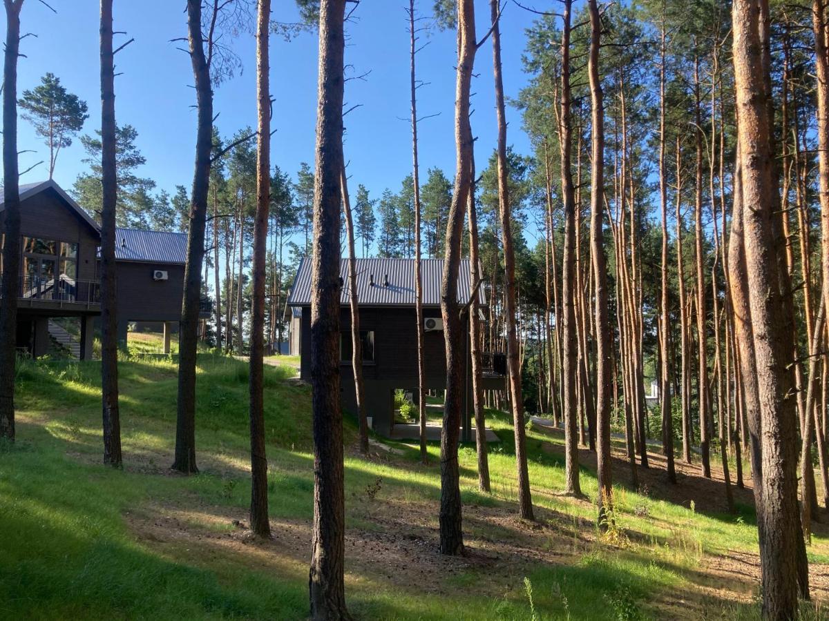 Gora Spokoju Osada Klimatyczna-Lesna Inowlodz Kültér fotó
