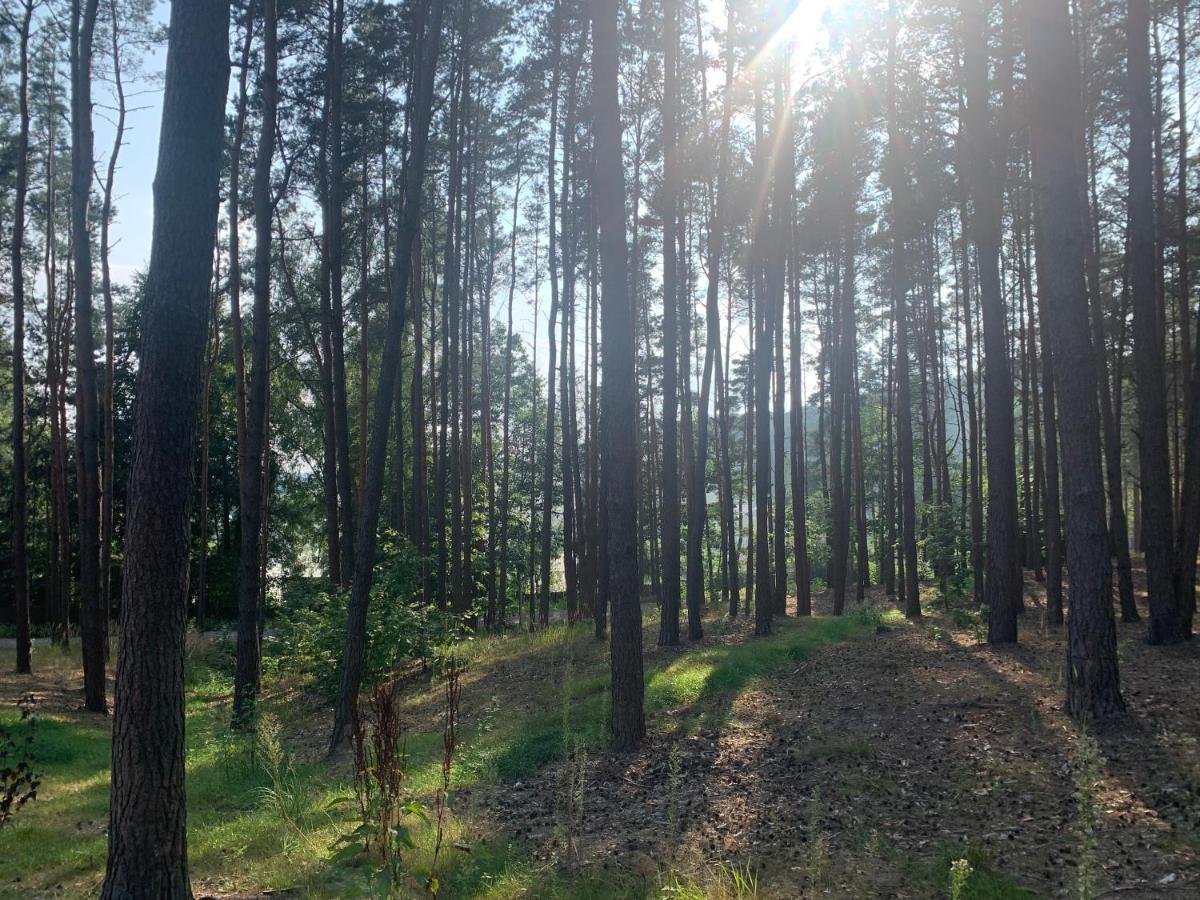 Gora Spokoju Osada Klimatyczna-Lesna Inowlodz Kültér fotó