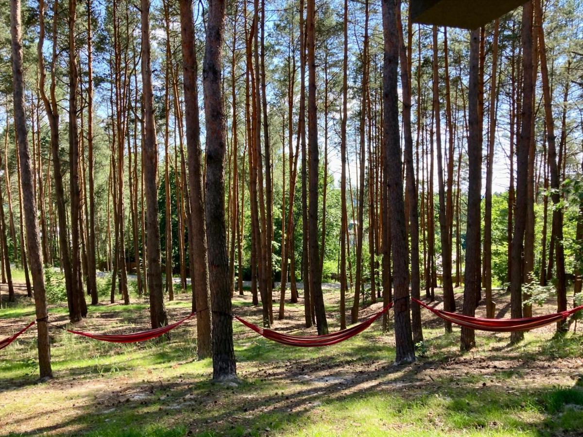 Gora Spokoju Osada Klimatyczna-Lesna Inowlodz Kültér fotó