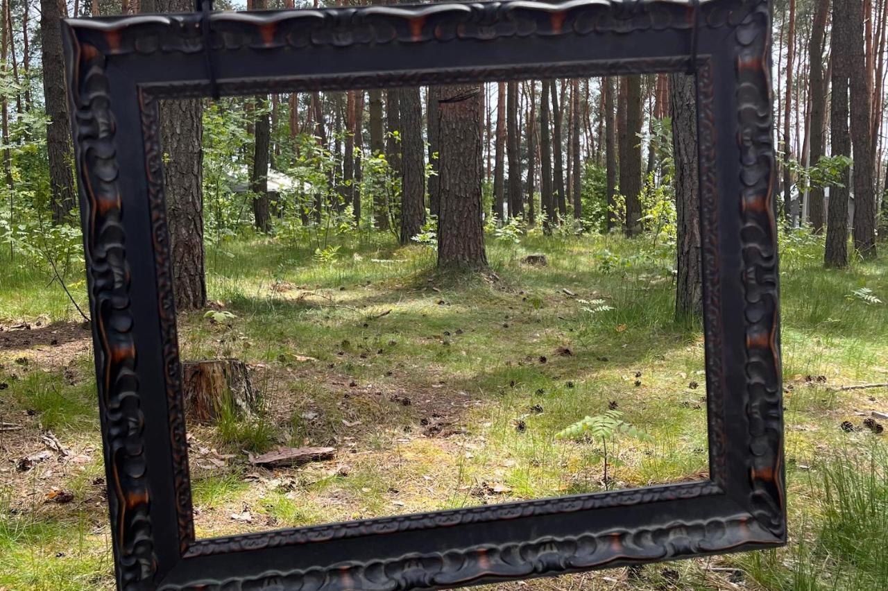 Gora Spokoju Osada Klimatyczna-Lesna Inowlodz Kültér fotó